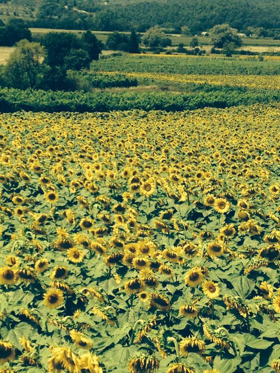 Tre Girasoli Monte San Savino Δωμάτιο φωτογραφία